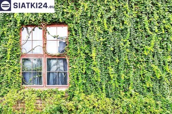 Siatki Nowy Targ - Siatka z dużym oczkiem - wsparcie dla roślin pnących na altance, domu i garażu dla terenów Nowego Targu